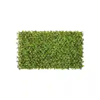Garden Hedge